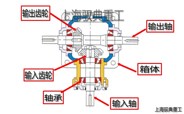 T系列螺旋傘齒輪轉向箱內(nèi)部結構圖