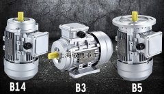 立式三相異步電動機(jī)是什么樣的_上海生產(chǎn)廠家（馭典重工）